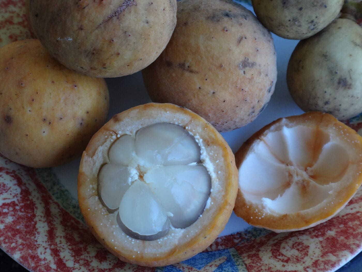 Langsat or lansones A delicious fruit with a hint of grapefruit flavor. Very slow to begin fruiting, taking 12 to 20 years